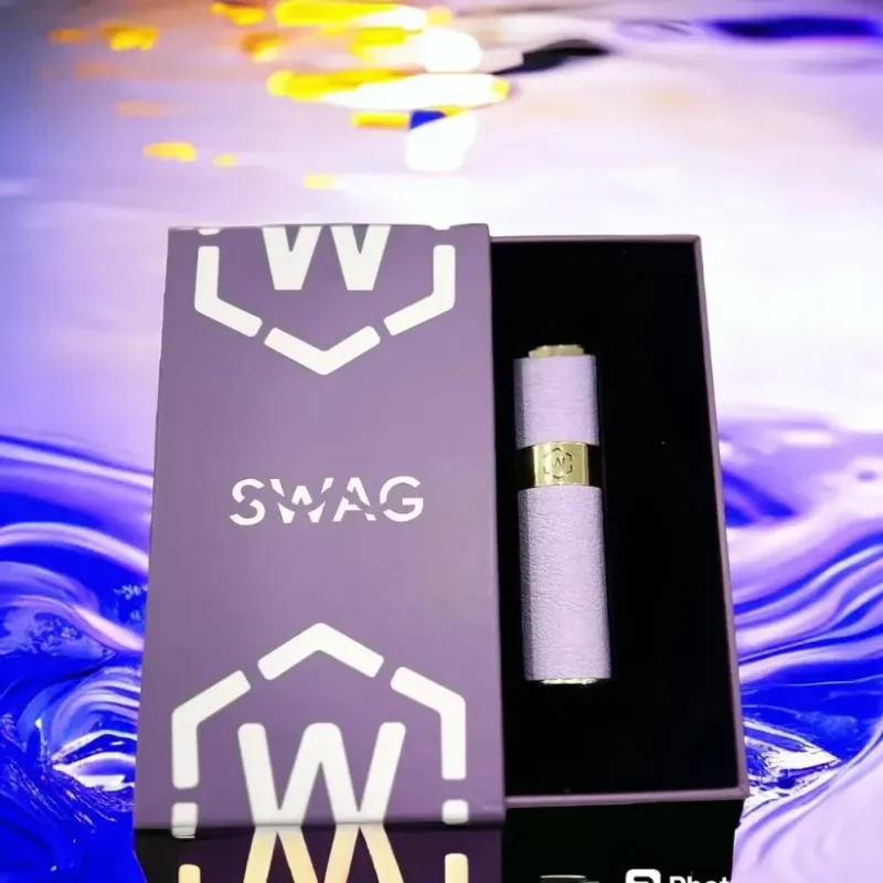 SWAG皮革主機推薦